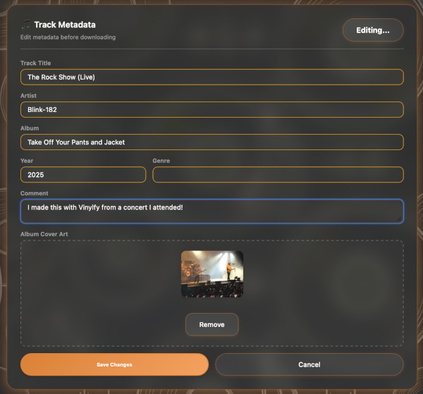 vinylfy-metadata-manager